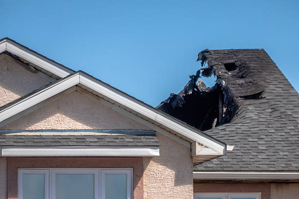 Licensed Fire Damage Removal service in Darwin, MN - Fire Damage Biloxi
